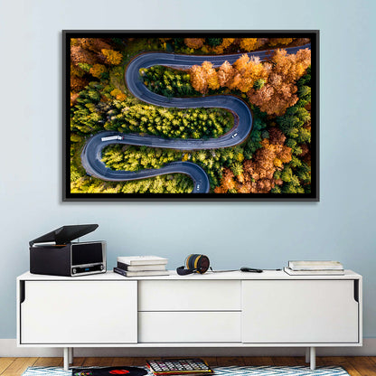 Serpentine Forest Road Wall Art