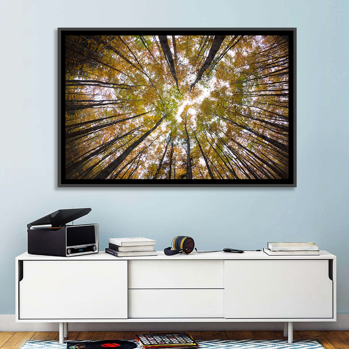 Autumn Forest Canopy Looking Up Wall Art in a room, landscape
