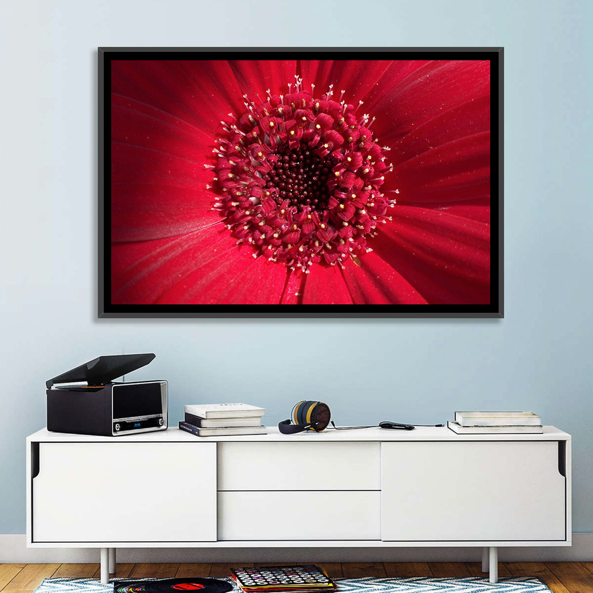 Red Gerbera Daisy Macro Close Up Wall Art in a room, landscape