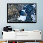 Toplitz Lake Winter Aerial Wall Art