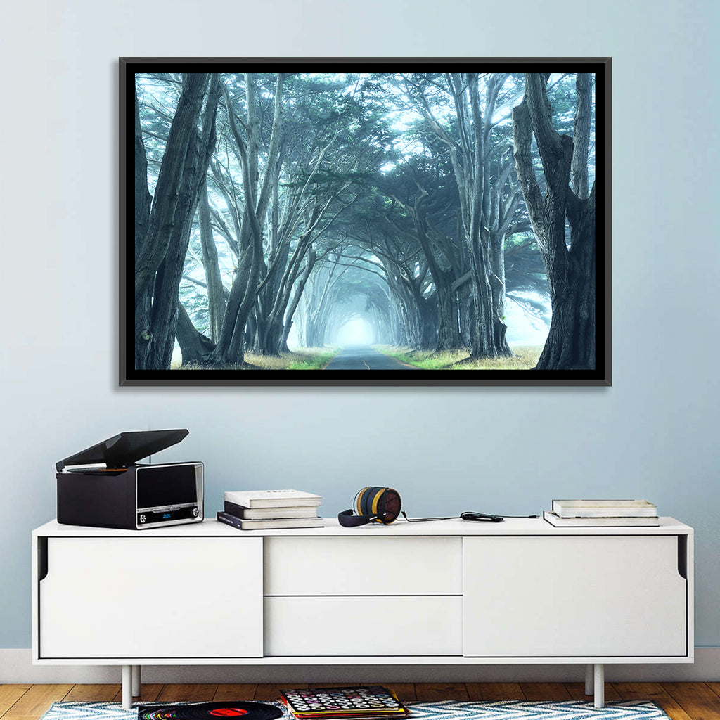 Foggy Cypress Tree Tunnel Wall Art