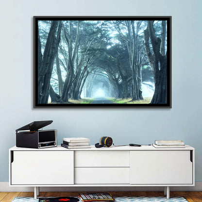 Foggy Cypress Tree Tunnel Wall Art