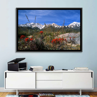 Sierra Nevada Wildflower Vista Wall Art