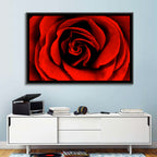 Velvety Red Rose Close-up Wall Art