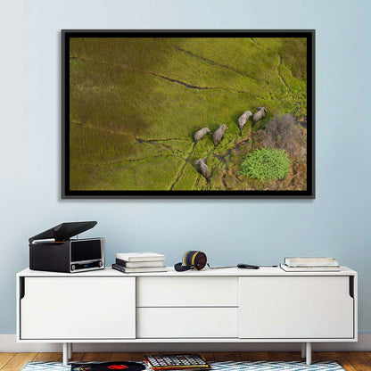 Aerial Herd of Elephants Wall Art