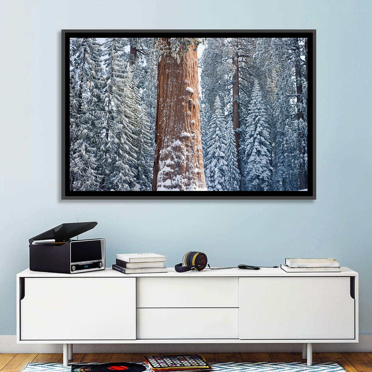 Winter Giant Sequoia in Snowy Forest Wall Art in a room, landscape