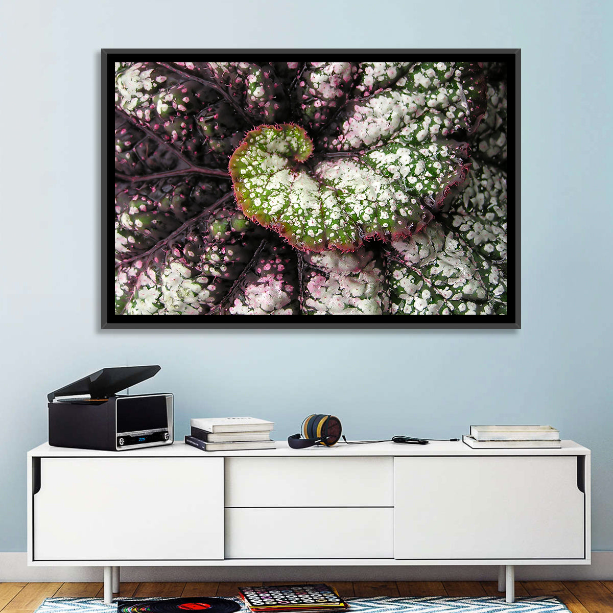 Begonia Leaf Spiral Geometry Wall Art