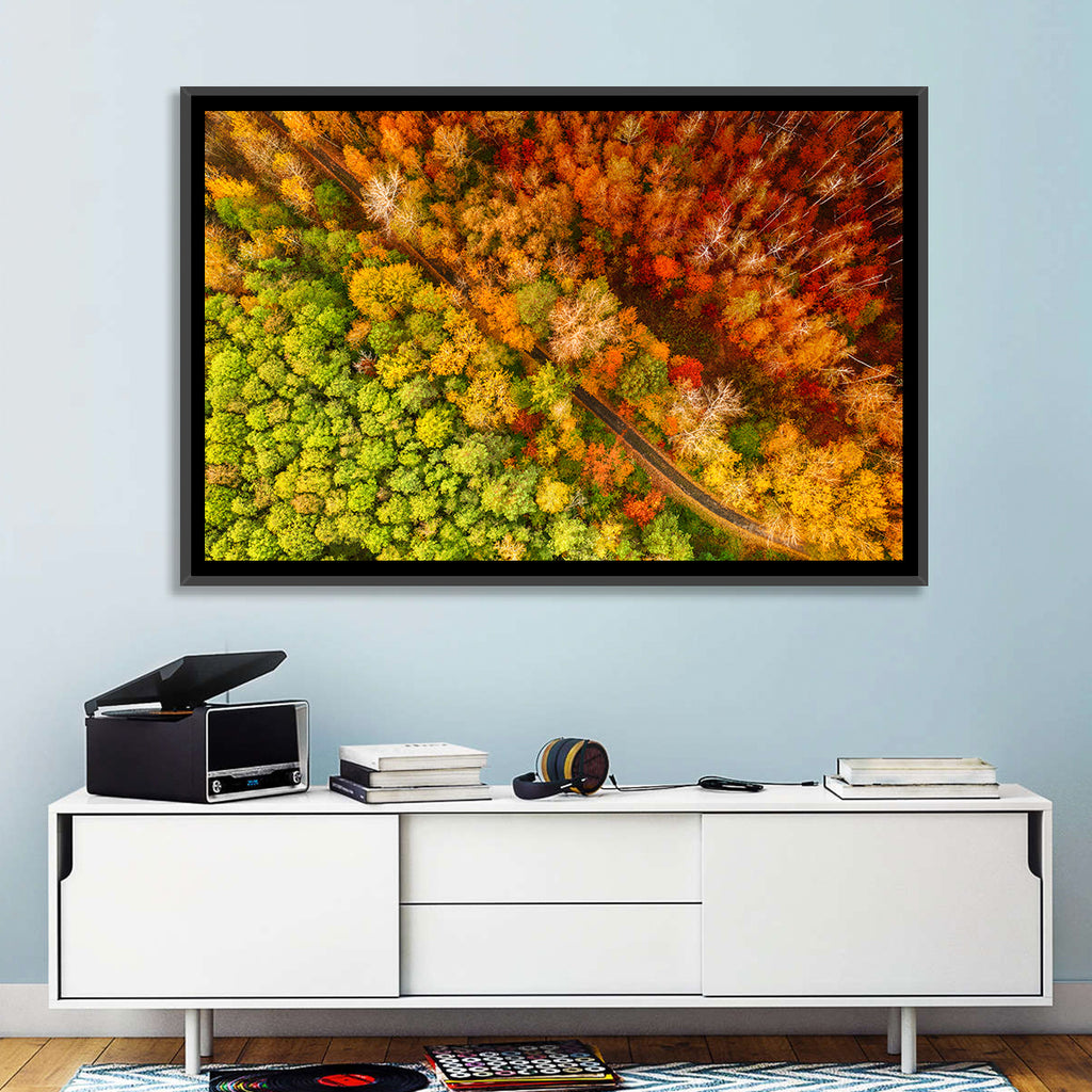 Winding Road Through Autumn Forest Wall Art