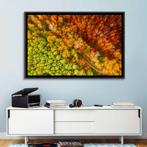 Colorful Autumn Forest Wall Art