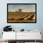 Rustic Provence Lavender Rows at Golden Hour Wall Art
