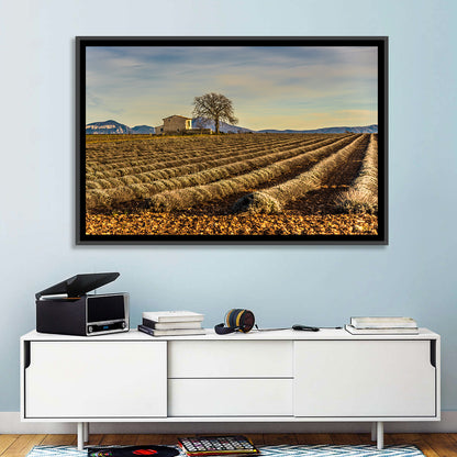 Rustic Provence Lavender Rows at Golden Hour Wall Art
