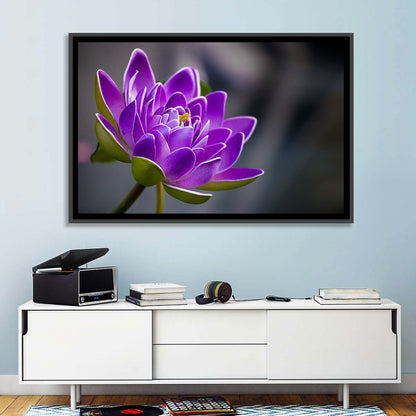 Purple Water Lily Close-up Wall Art