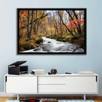 Sunlit Forest Stream Wall Art