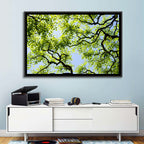 Sunlit Tree Canopy Wall Art
