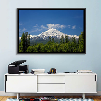 Mount Ararat Wall Art