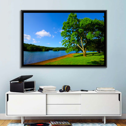 Lake Ippeki Solitary Tree Wall Art