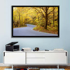 Winding Road Through Autumn Foliage Wall Art