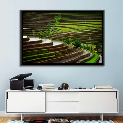 Lush Rice Terraces Wall Art