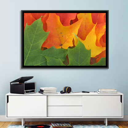 Autumn Maple Leaves Wall Art