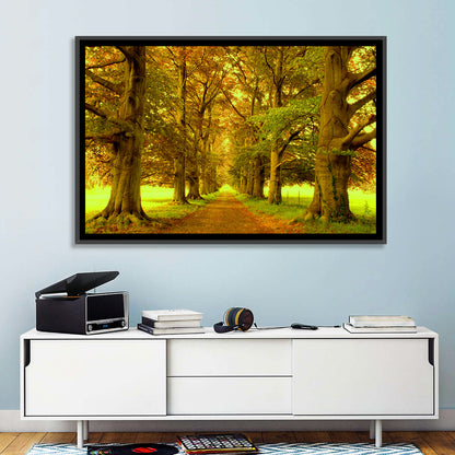 Beech Tree Lane at Golden Hour Wall Art