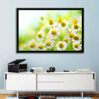 Chamomile Close-up Wall Art