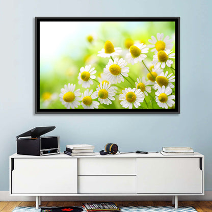 Chamomile Close-up Wall Art