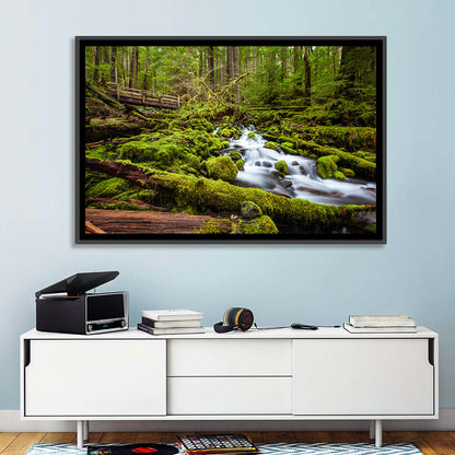 Mossy Cascade Forest Stream Wall Art