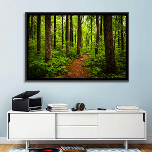 Shenandoah National Park Trail Wall Art