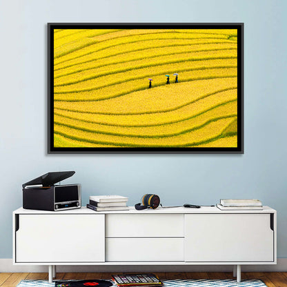 Golden Rice Terraces with Umbrellas Wall Art