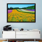 Tomita Flower Fields, Nakafurano Wall Art