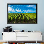 Luxembourg Vineyards Wall Art