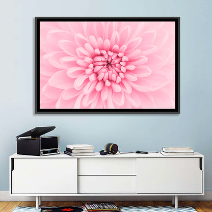 Pink Chrysanthemum Close-up Wall Art