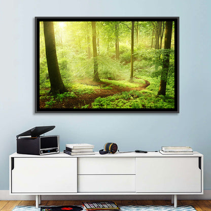 Sunlit Forest Path Wall Art