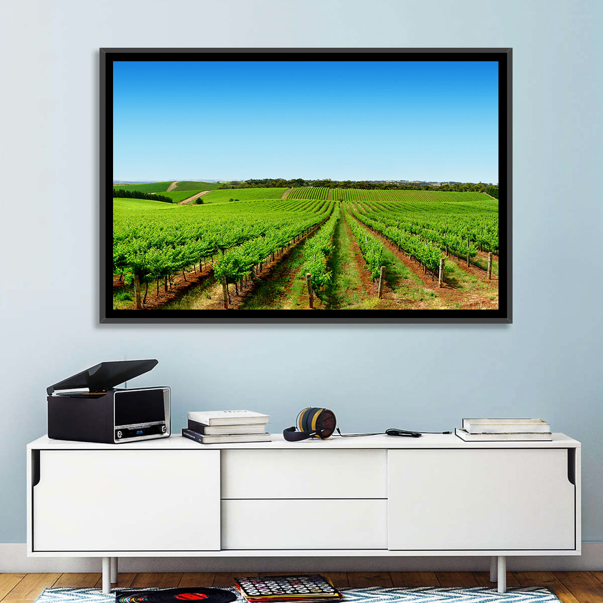 Sunlit Vineyard Rows Wall Art