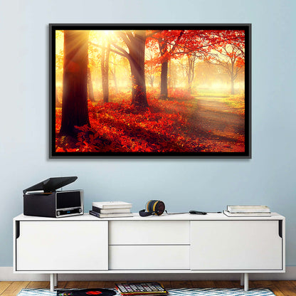 Sunlit Forest Path Wall Art