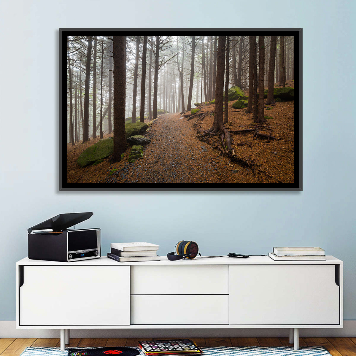 Misty Appalachian Trail Path Wall Art in a room, landscape