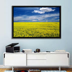 Sunlit Canola Field Wall Art