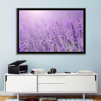 Sunlit Lavender Field Wall Art