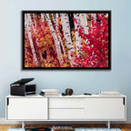 Autumn Birches with Crimson Maples Wall Art