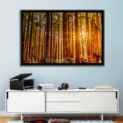 Golden Hour Redwood Sunburst Wall Art