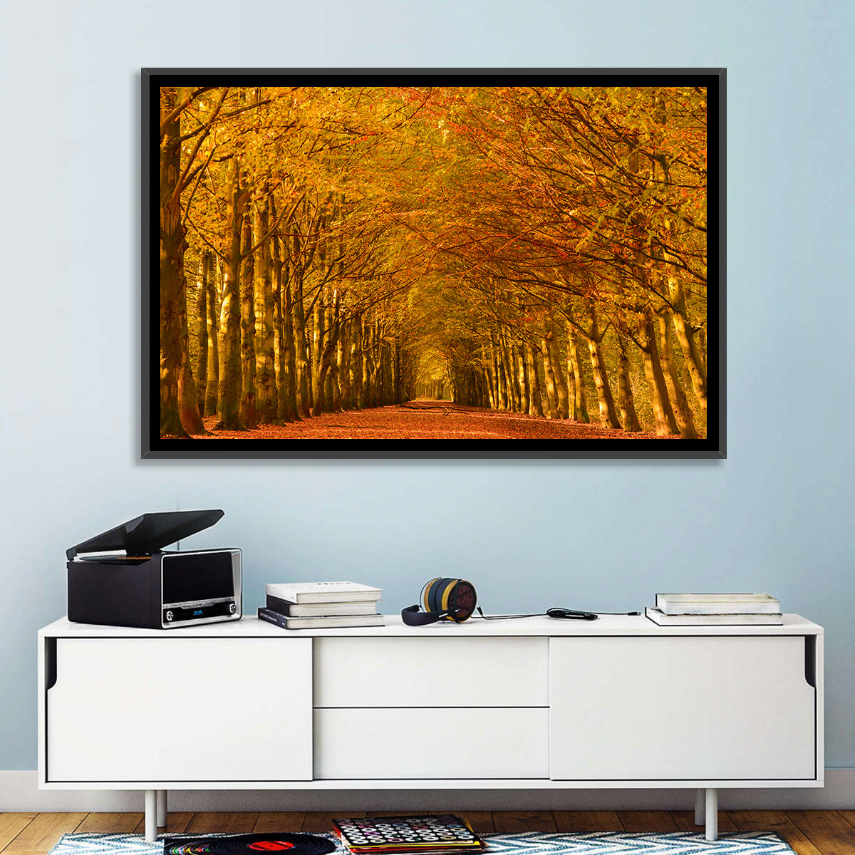 Golden Beech Tree Tunnel in Autumn Wall Art in a room, landscape