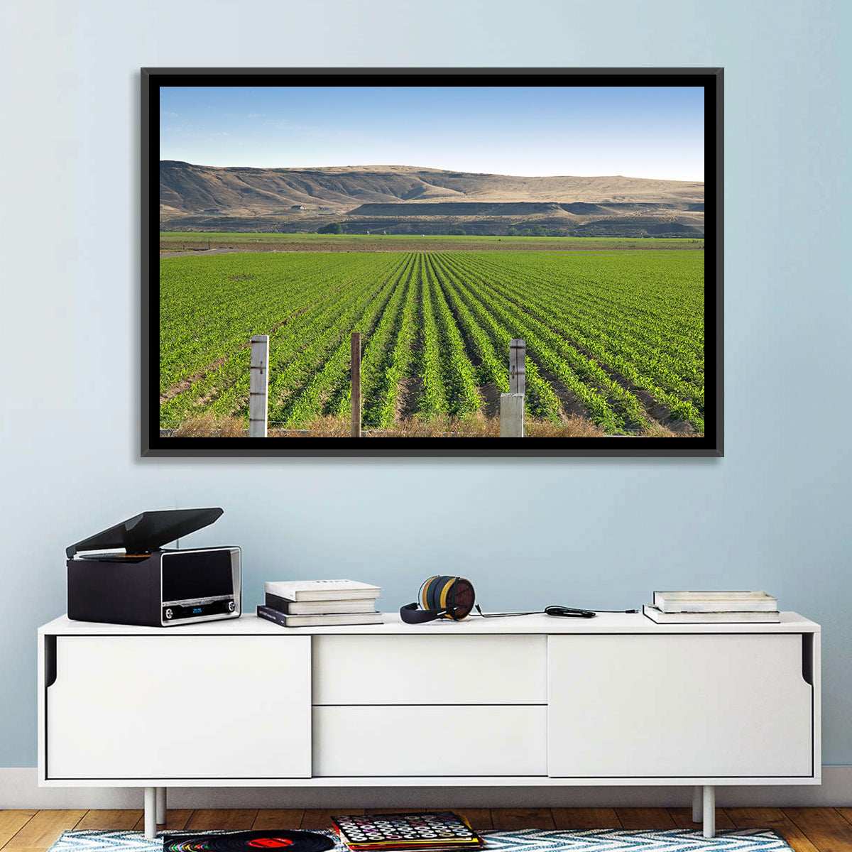 Idaho Corn Field Wall Art in a room, landscape