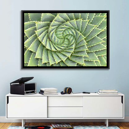 Spiral Aloe Close-up Wall Art