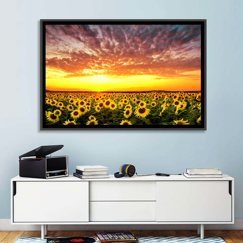 Golden Hour Sunflower Field Wall Art