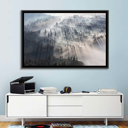Misty Forest Sunrise Wall Art