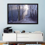 Frosted Forest Path at Dawn Wall Art