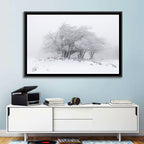 Rime Coated Winter Trees Wall Art