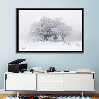 Rime Coated Winter Trees Wall Art