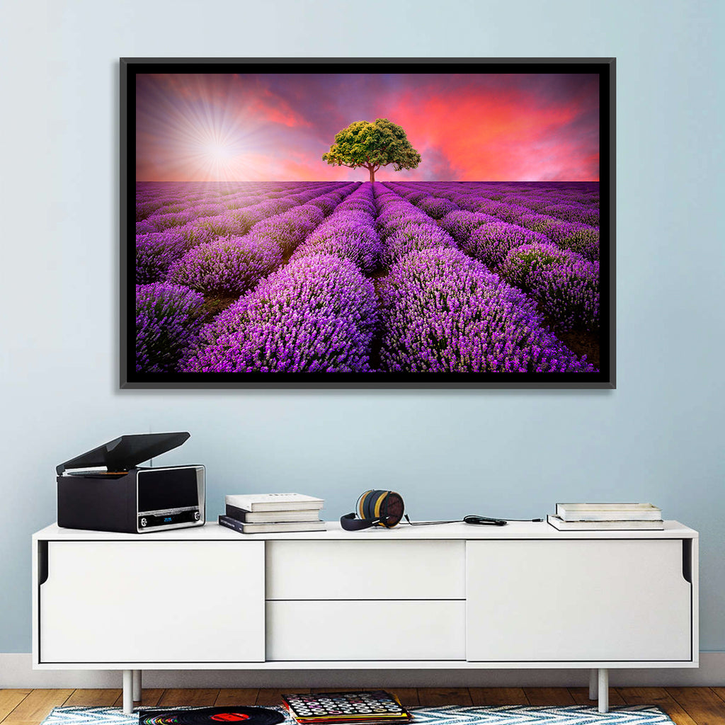 Sunset Over Lavender Fields Wall Art