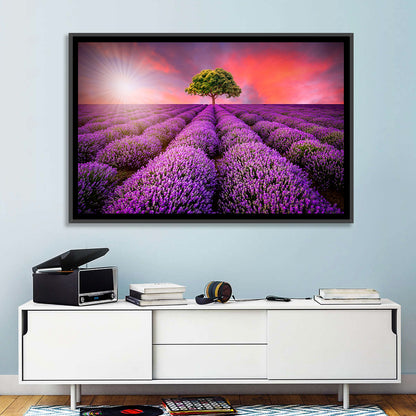 Sunset Over Lavender Fields Wall Art